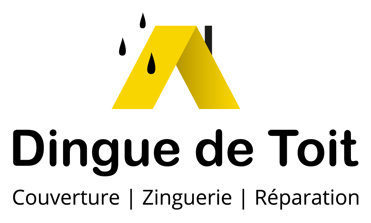 Logo Dingue de toit